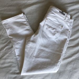 LC Lauren Conrad crop/capri paint